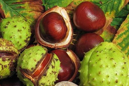 I frutti di castagne per cavalli sono usati nel trattamento della prostatite